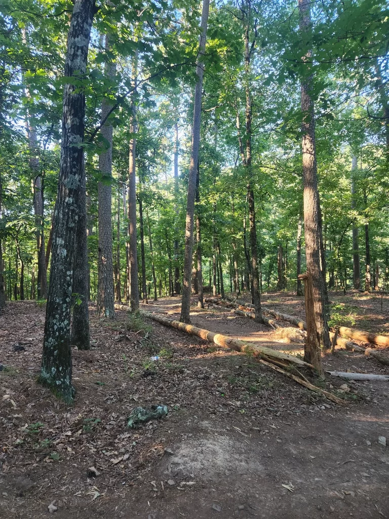 Beaver Lodge Nature Trail - McCurtain County