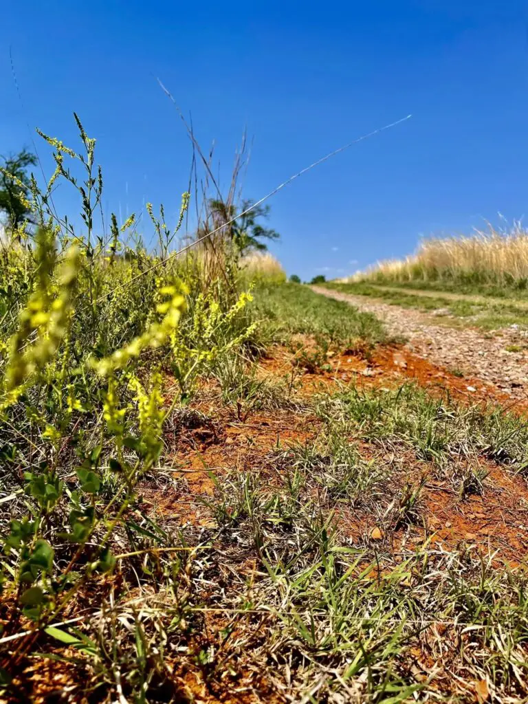 Great Western Trail, Foss State Park