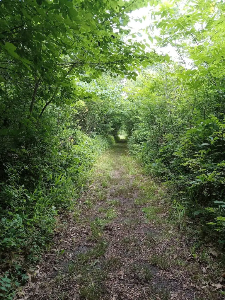 Oxley Nature Center Trails, Mohawk Park, Tulsa OK