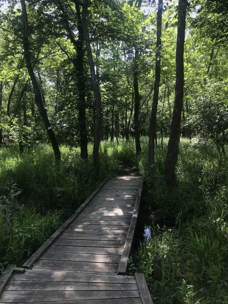 Oxley Nature Center Trails, Mohawk Park, Tulsa OK