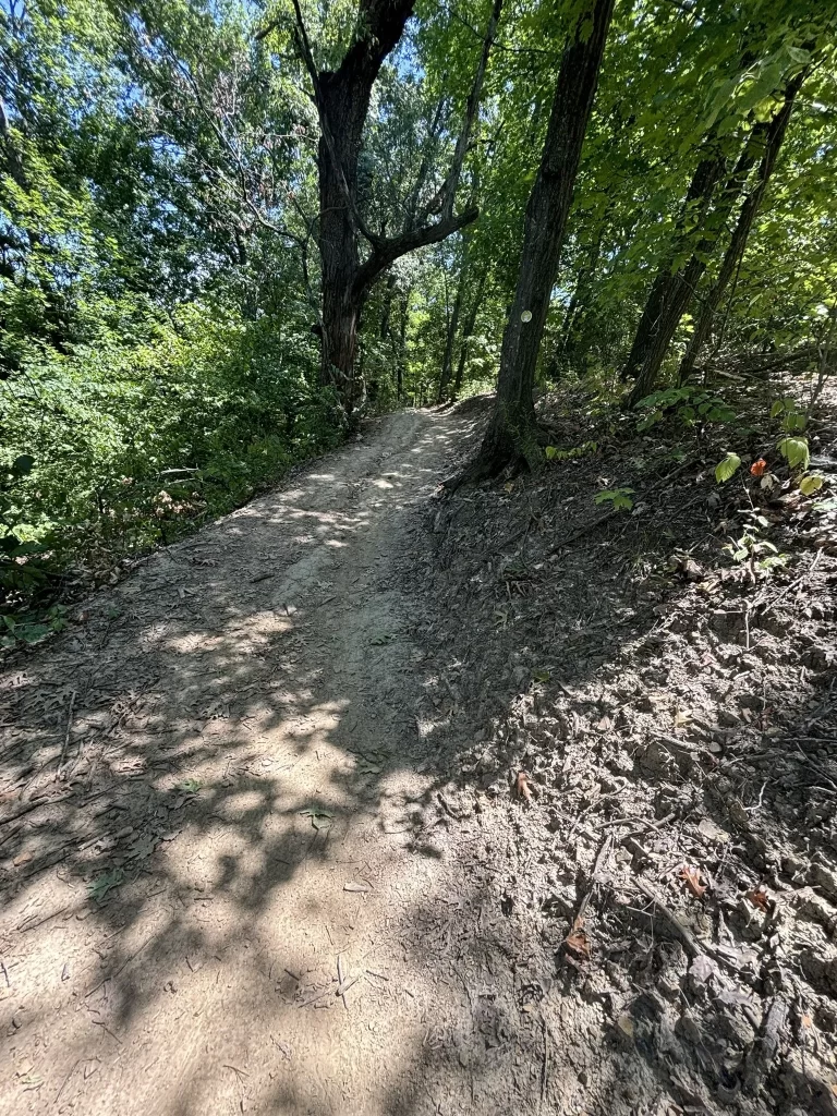 Turkey Mountain Urban Wilderness, Tulsa OK